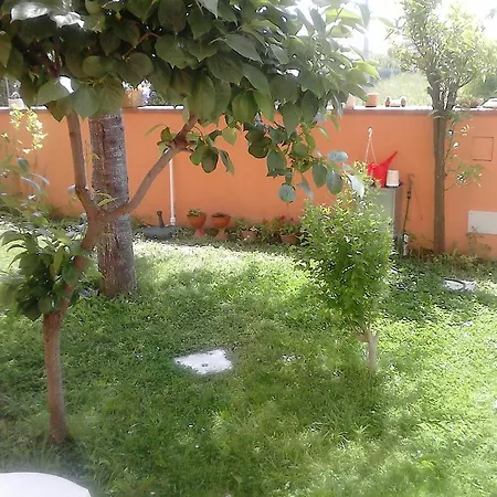 Πανσιόν Le Ciel D'orphee Πίζα